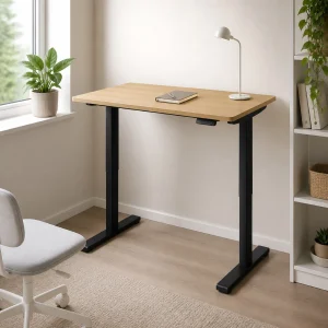 EasyShop Home Compact Standing Desk