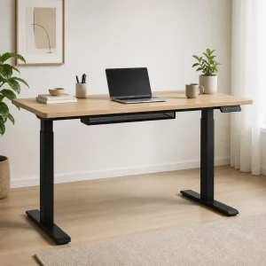 EasyShop Home Dual-Motor Standing Desk
